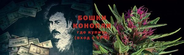ГАЛЛЮЦИНОГЕННЫЕ ГРИБЫ Лагань