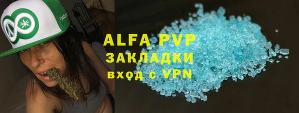 ГАЛЛЮЦИНОГЕННЫЕ ГРИБЫ Лагань