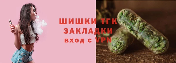 ГАЛЛЮЦИНОГЕННЫЕ ГРИБЫ Лагань