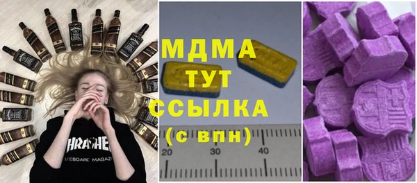 ГАЛЛЮЦИНОГЕННЫЕ ГРИБЫ Лагань