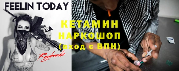 ГАЛЛЮЦИНОГЕННЫЕ ГРИБЫ Лагань