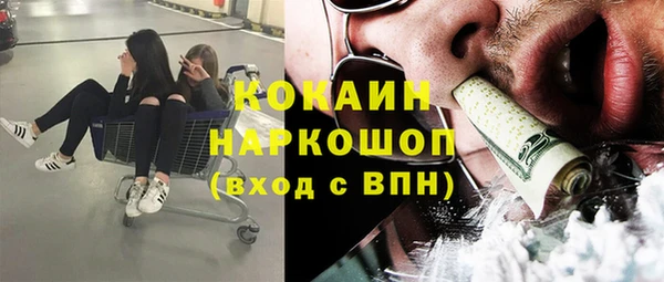ГАЛЛЮЦИНОГЕННЫЕ ГРИБЫ Лагань