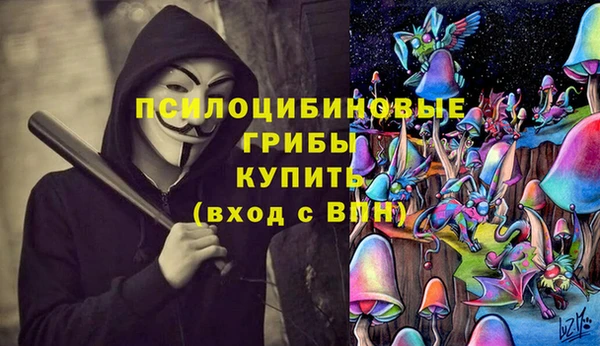 ГАЛЛЮЦИНОГЕННЫЕ ГРИБЫ Лагань