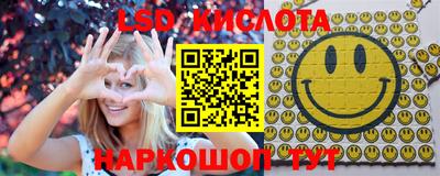 МДПВ Кингисепп