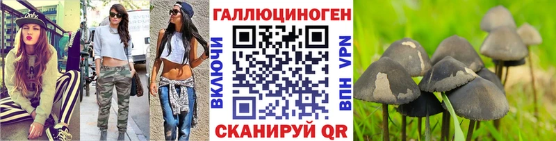 darknet Telegram  Курган  Псилоцибиновые грибы Magic Shrooms 
