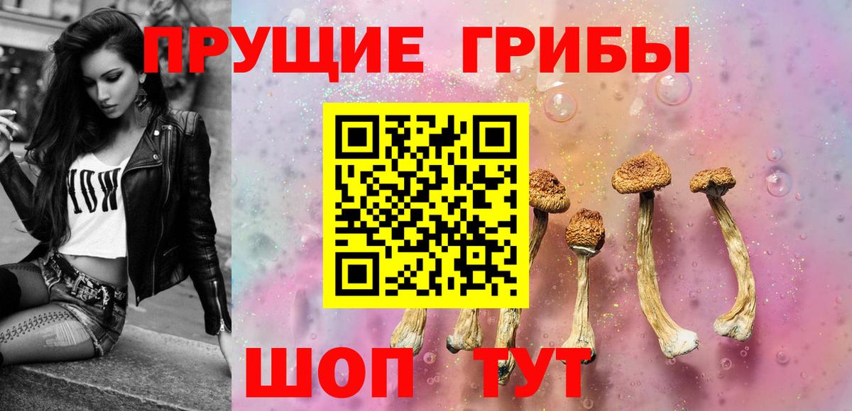 Псилоцибиновые грибы MAGIC MUSHROOMS Курган