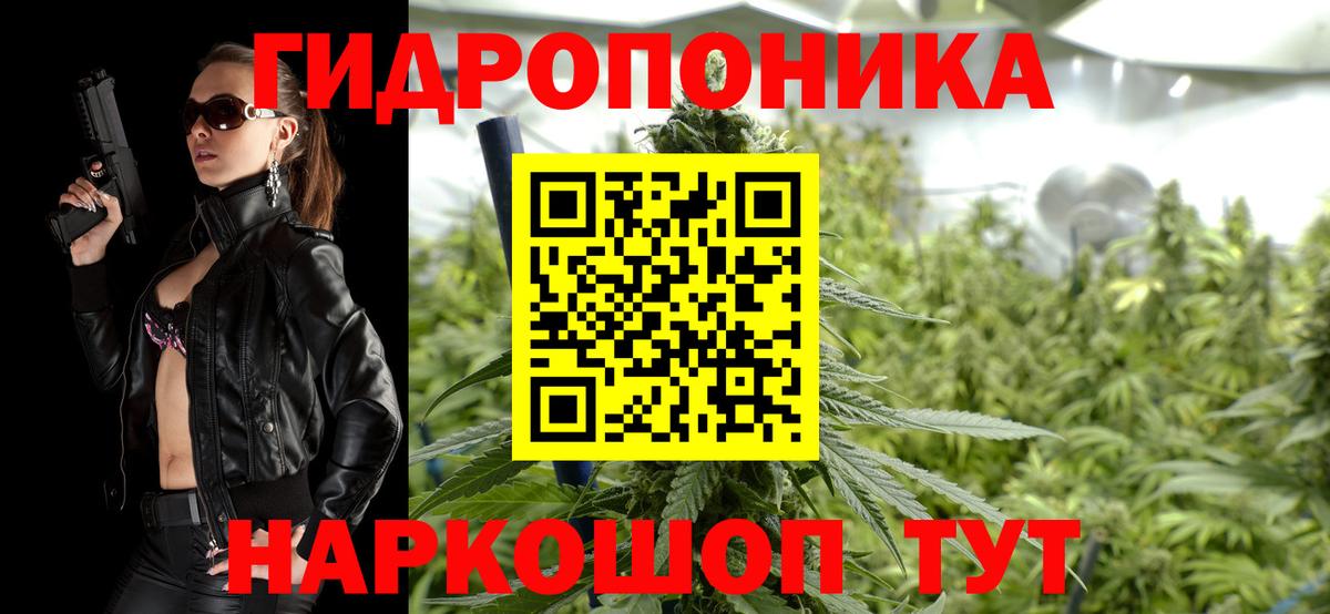 Конопля индика Курган